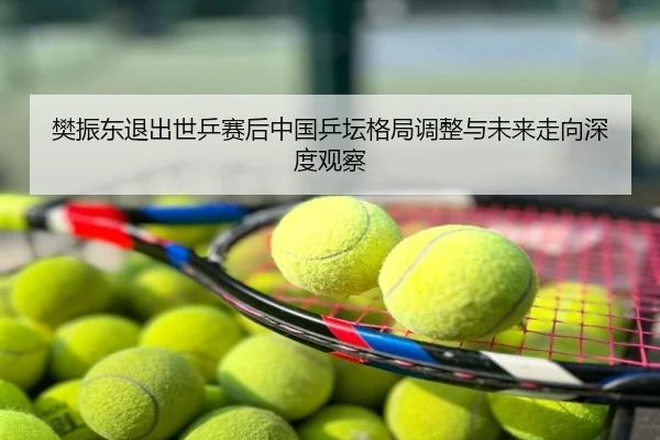 樊振东退出世乒赛后中国乒坛格局调整与未来走向深度观察