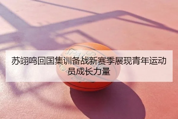 苏翊鸣回国集训备战新赛季展现青年运动员成长力量