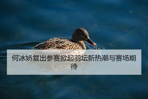 何冰娇复出参赛掀起羽坛新热潮与赛场期待