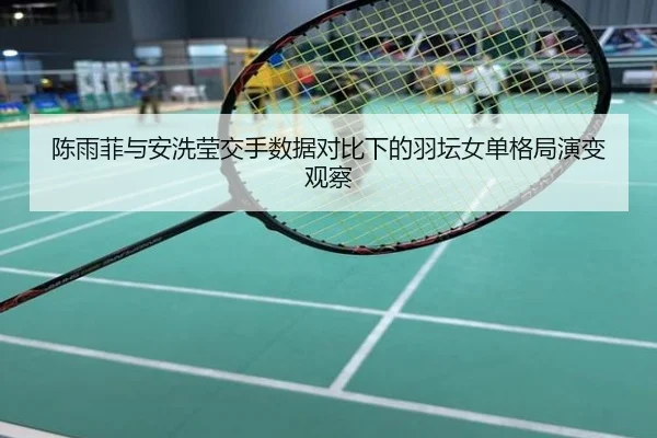 陈雨菲与安洗莹交手数据对比下的羽坛女单格局演变观察
